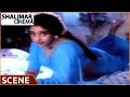 Bobbili Simham Movie Balakrishna Meena Love Scene Balakrishna Meena Roja