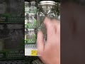 Half Gallon Ball Jars - Get them while they are cheap!