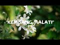 Kembang Malati Abiel Jatnika Lirik
