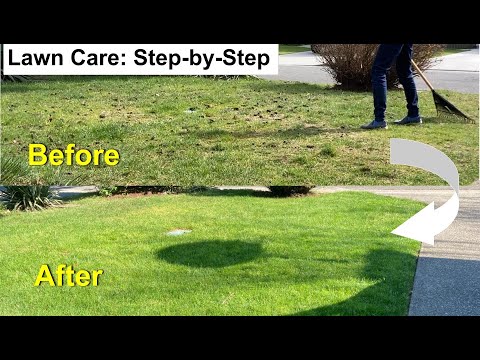 ステップバイステップ: 芝生を冬に保つ方法 トピックス