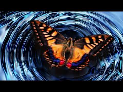 Pakkaluaq - Jens Nielsen