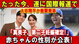 ⚾ 2026年日本プロ野球ハイライト｜クラッチプレーと勝利の瞬間