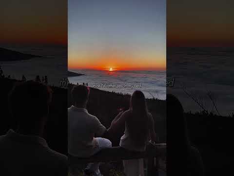 daisies #lyrics #music #justinbieber #daisies