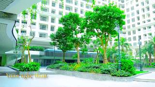 動画 of Sunshine Garden