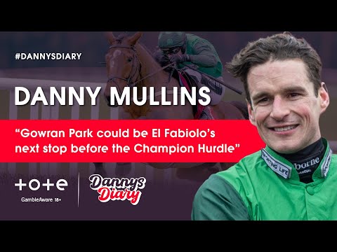 Danny Mullins on El Fabiolo's future, Christmas Novice Hurdle stars, Cork & Naas rides this weekend