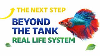 The Next Step - An Aquatic Adventure
