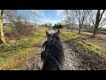 30 Minutes Of Horse Riding ASMR