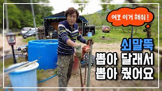 깊게 박힌 말뚝 뽑는법 아내가 말뚝 뽑아 달래서 뽑아 줬어요