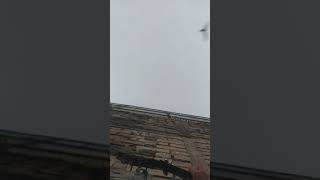 Download lagu Lagu Hitam Putih - Cozy Republic, Aku Pacari Saja Dua-duanya mp3 Download lagu Lagu Hitam Putih - Cozy Republic, Aku Pacari Saja Dua-duanya mp3