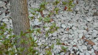 Photagraphy - California - Rogue Wave