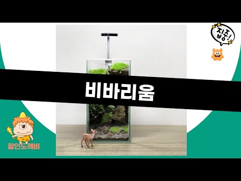 크레스티드 게코 비바리움 꾸미기! 은신처, 이끼 정원 DIY까지 (나노 비바리움)