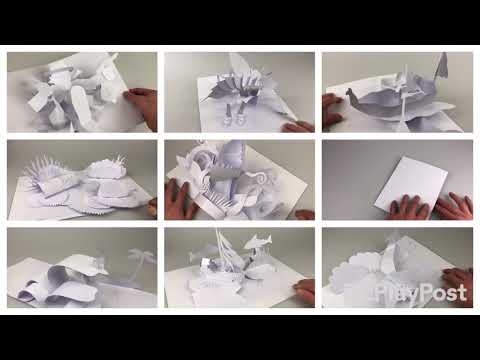 PopUpTober 2019 - A selection of the white pop-ups