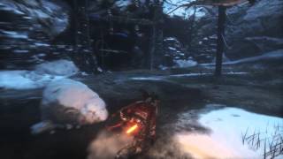 Rise of The Tomb Raider - Best Laid Plans: Defeat the Bear Bossfight (Poison Arrows &amp; Heal) Gameplay