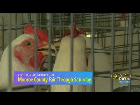 Fair season: What to expect in Monroe County this year  | Good Day on WTOL 11