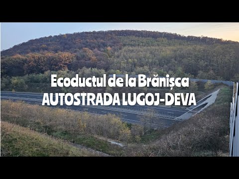 Ecoductul de pe Autostrada Lugoj-Deva, Brănișca 