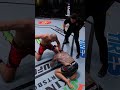 Could You Take a Giga Kick to the Liver? ?