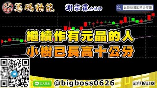 【大戶羅盤籌碼動能】 #謝宗霖1007，繼續作有元晶的人 小樹已長高十公分 (圖)
