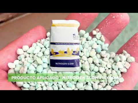 🌽 Aplicación de NITROGEN SLOW en maíz | Fraga, San Luis.