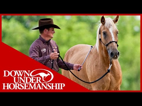 Clinton Anderson: Training a Rescue Horse, Part 3 - Downunder Horsemanship