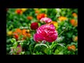 ジム・ホール Jim Hall『Young One, For Debra』