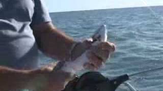 preview picture of video 'Wild Weekend Adventures: Atlantic Salmon Fishing'