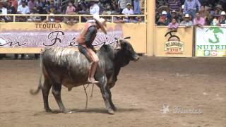 Las Mejores Montas de Toro - Campeonato Millonario 2014