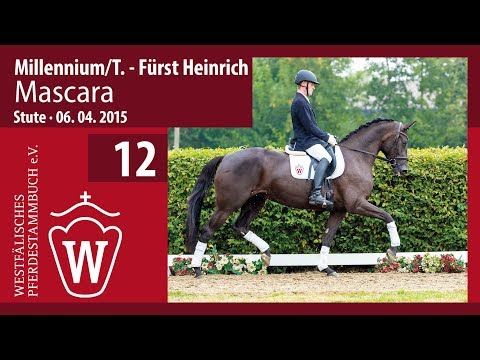 12 Mascara  Stute v. Millennium - Fürst Heinrich