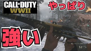 【FPS】やばいやっぱりPPSH強いわｗCODWW2実況＃31　【TRF】