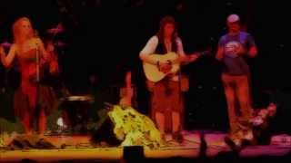 COCO AND THE BUTTERFIELDS -  ALONE