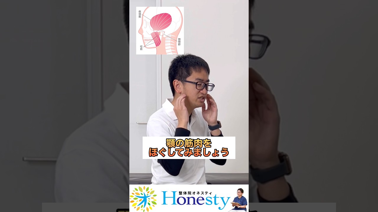 首こりや肩こりに効果的。顎の筋肉をほぐすと力がぬけて動きが滑らかになる。