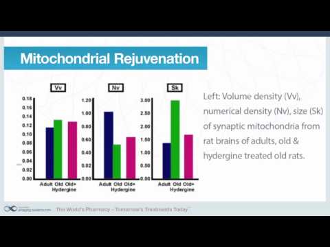 Nootropics Series - Part 5: Hydergine and Mitochondria