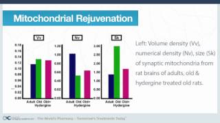 Nootropics Series - Part 5: Hydergine and Mitochondria
