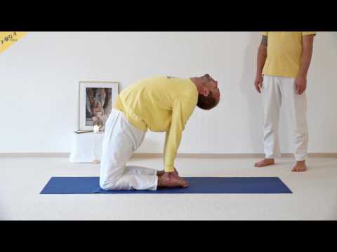 Kamel - Ustrasana - 84 Hauptasanas - Teil 53