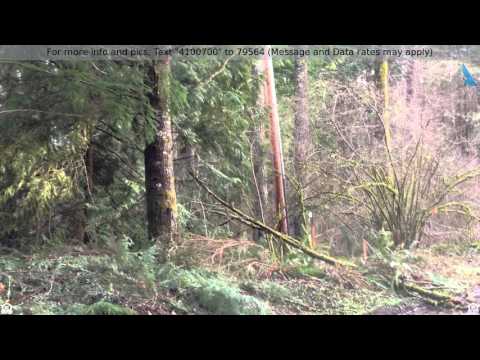 Priced at $75,000 - 12934 Wagon Wheel Rd, Rainier, WA 98576