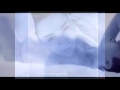 Miley Cyrus Adore You MP3 Song Download 