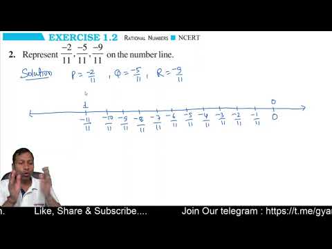 Represent -2/11, -5/11, -9/11 on the number line.