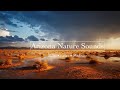 Arizona Desert Rain Monsoon Sounds Of Nature For Sleep Relaxation Study