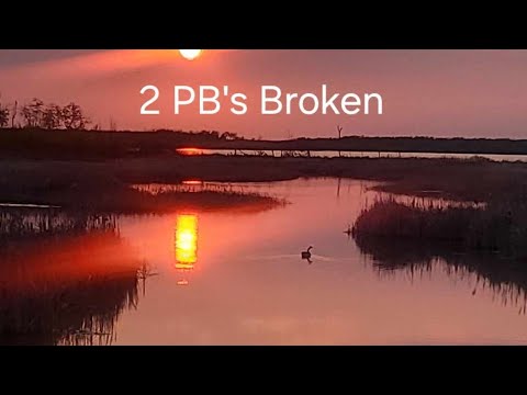 Video Thumbnail for 2 PBs Broken
