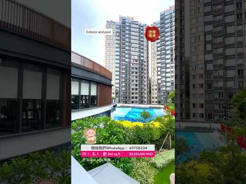 飞扬 Youtube Video