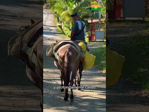 BIENVENIDOS A EL DORADO🌄✨ #turismo