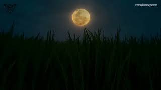 Download lagu Five Minutes - Kuberkhayal ( Lirik ) mp3 Download lagu Five Minutes - Kuberkhayal ( Lirik ) mp3