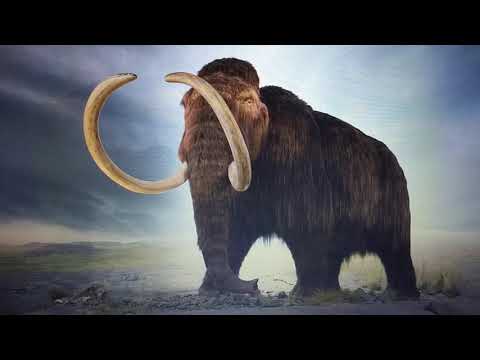 Woolly mammoth sound effects