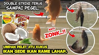 Download lagu TERBUKTI HASILNYA PUAS..‼️ Racikan umpan pelet jitu kukus terkejam. mp3 Download lagu TERBUKTI HASILNYA PUAS..‼️ Racikan umpan pelet jitu kukus terkejam. mp3