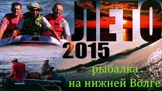 Летний отдых и рыбалка на волге