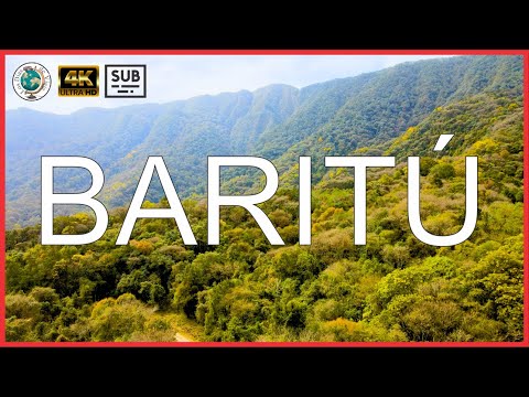 🇦🇷 🇧🇴 BARITÚ 🌿🍃¿Tenemos que ir a BOLIVIA para visitar un Parque Nacional Argentino? 😲 #Salta #travel