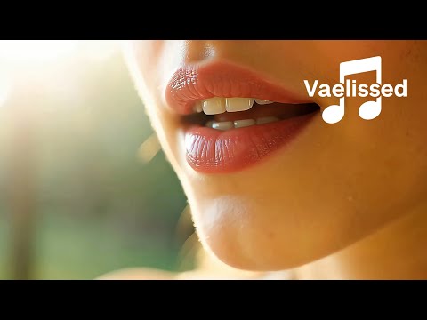 Vaelissed - Fading Horizon (Official Music Video)