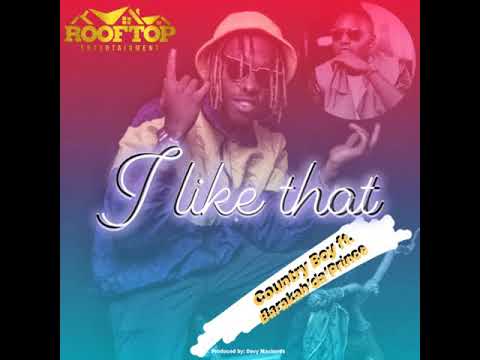 Country Wizzy ft Barakah the Prince - I like That (Official Audio )