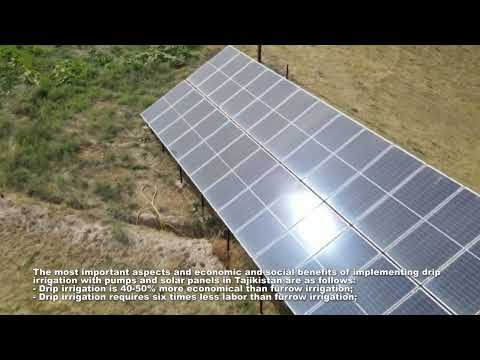 КАПЕЛЬНОЕ ПОЛИВАНИЕ. Каждая капля на счету.