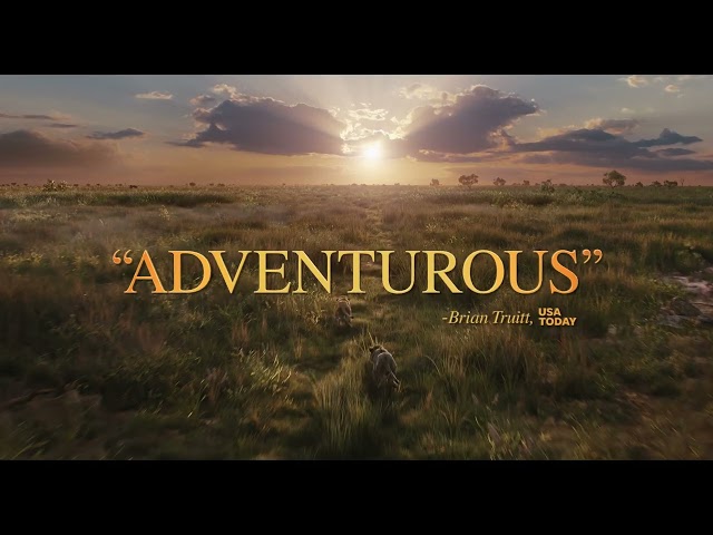 In Theaters Now