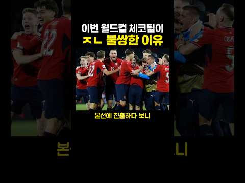 이번 월드컵 체코팀이 ㅈㄴ 불쌍한 이유..ㄷㄷ